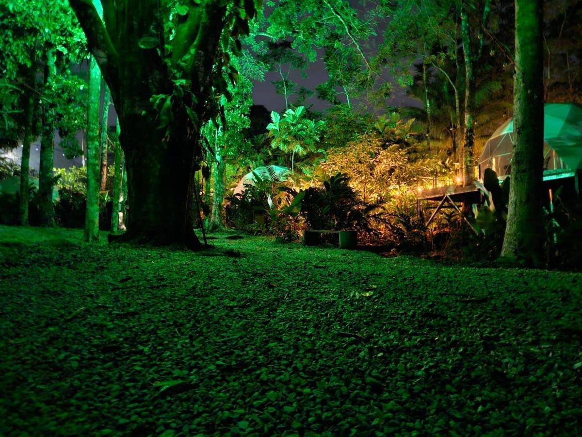 Palo Alto Glamping Hotel Quesada  Εξωτερικό φωτογραφία