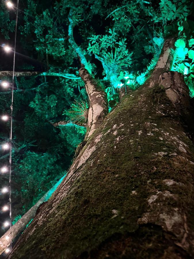 Palo Alto Glamping Hotel Quesada  Εξωτερικό φωτογραφία